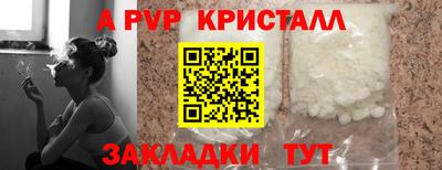 дурь Кингисепп